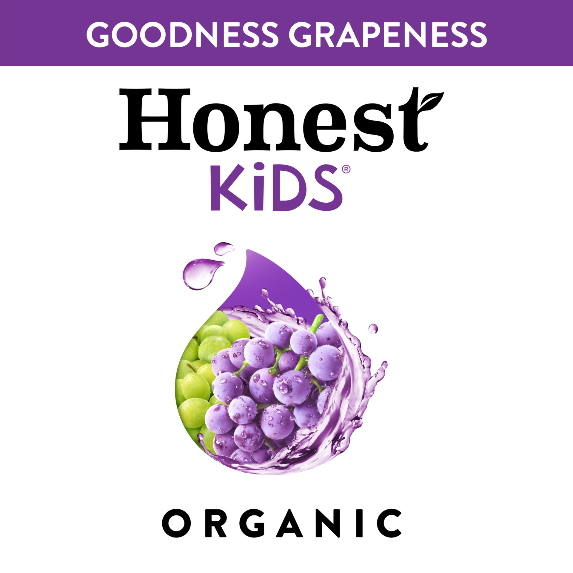 slide 7 of 8, Honest Kids Goodness Grapeness Pouches, 6.75 fl oz, 8 Pack, 8 ct; 6.75 fl oz