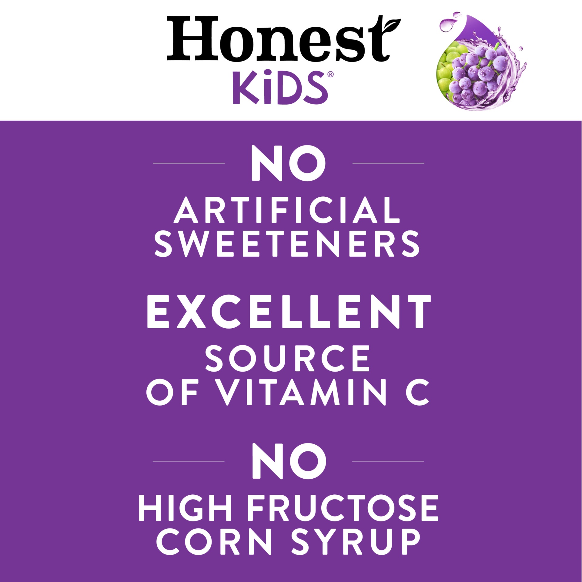 slide 8 of 8, Honest Kids Goodness Grapeness Pouches, 6.75 fl oz, 8 Pack, 8 ct; 6.75 fl oz
