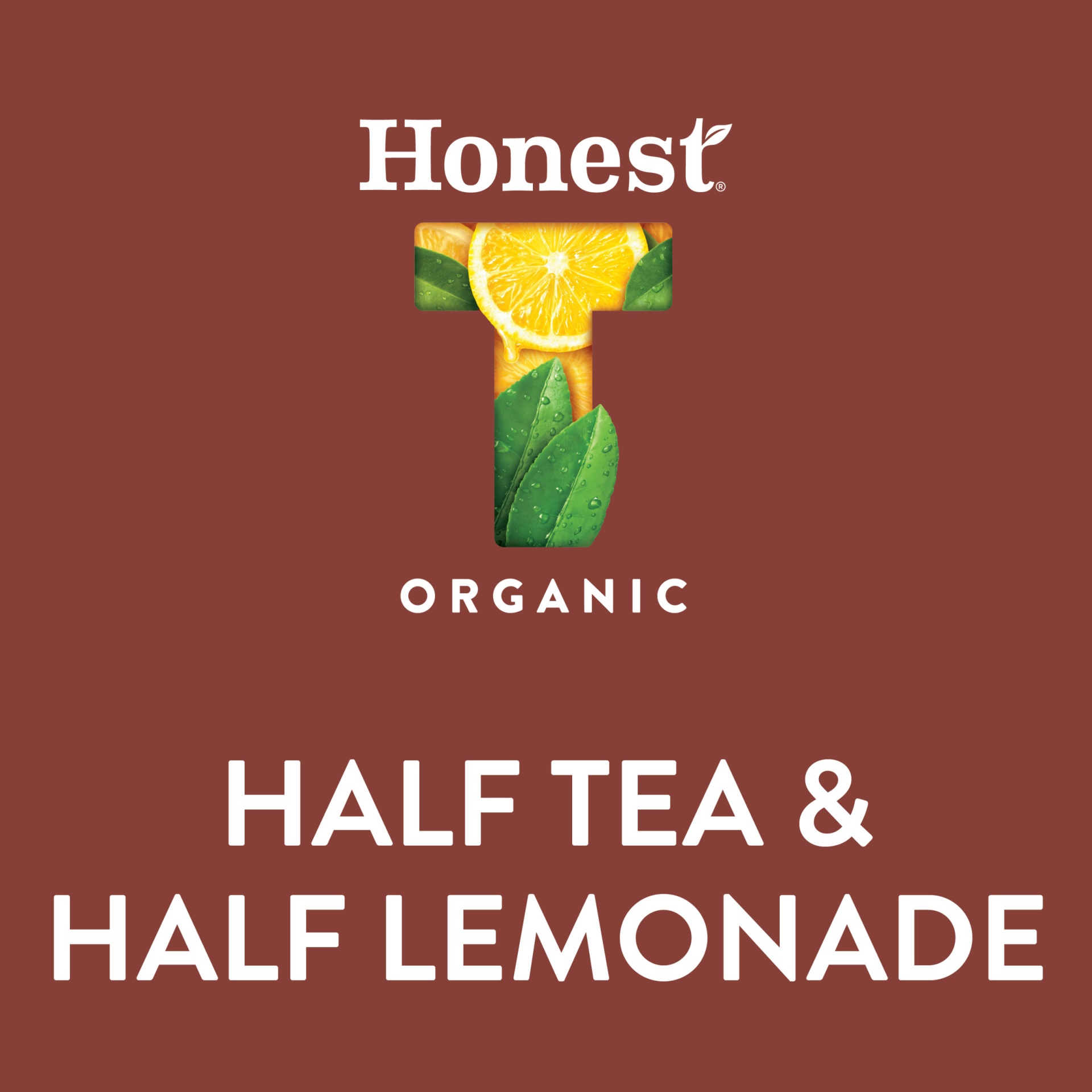 slide 11 of 17, Honest Tea Lemonade Half Half, 16.9 oz