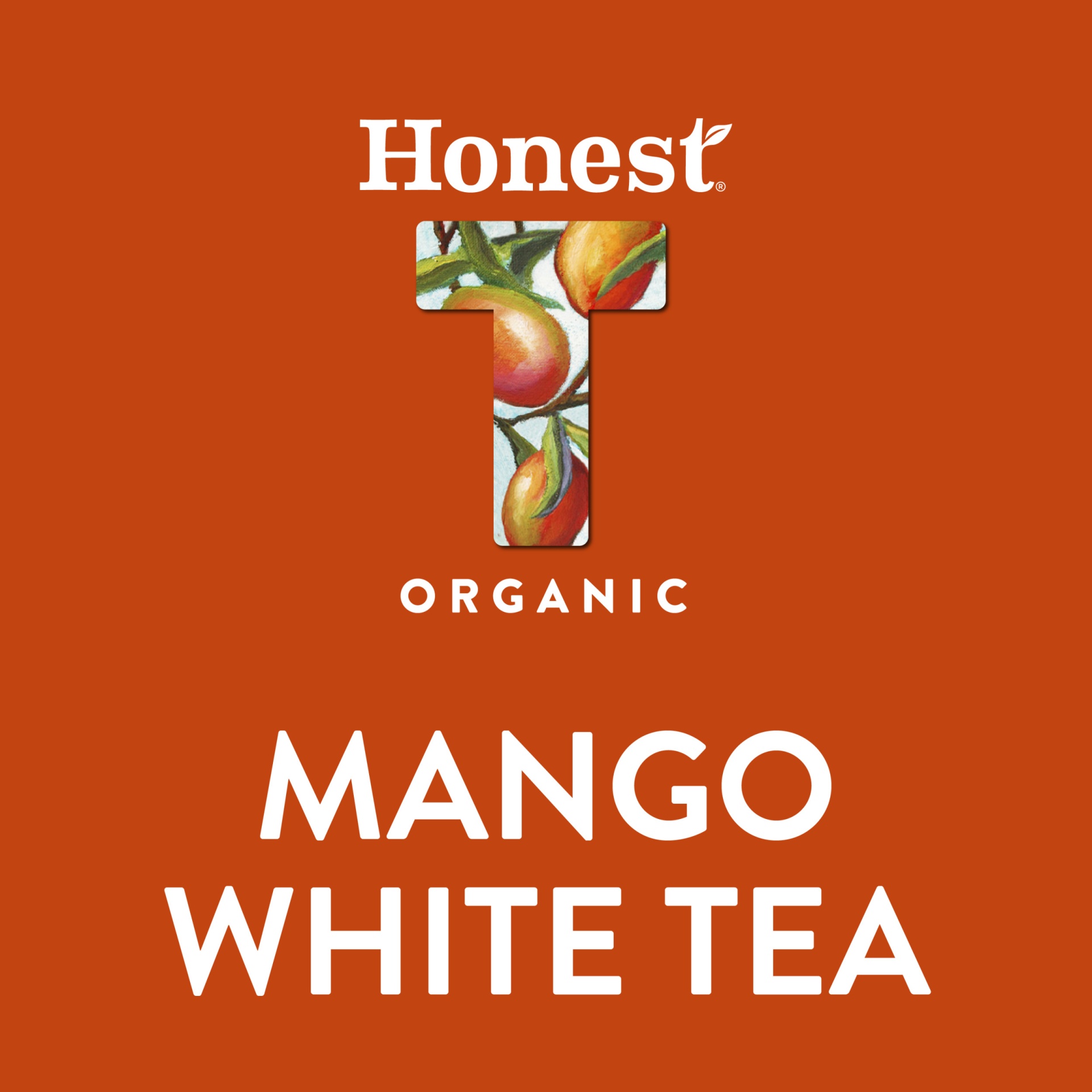 slide 8 of 11, Honest Teas Tea Mango White, 16 oz