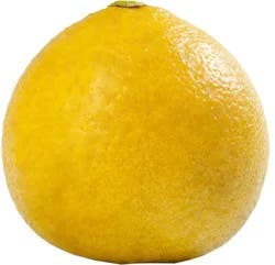 Bergamot Citrus