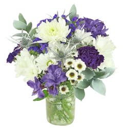 Bloom Haus Brilliance in Bloom Floral Arrangement