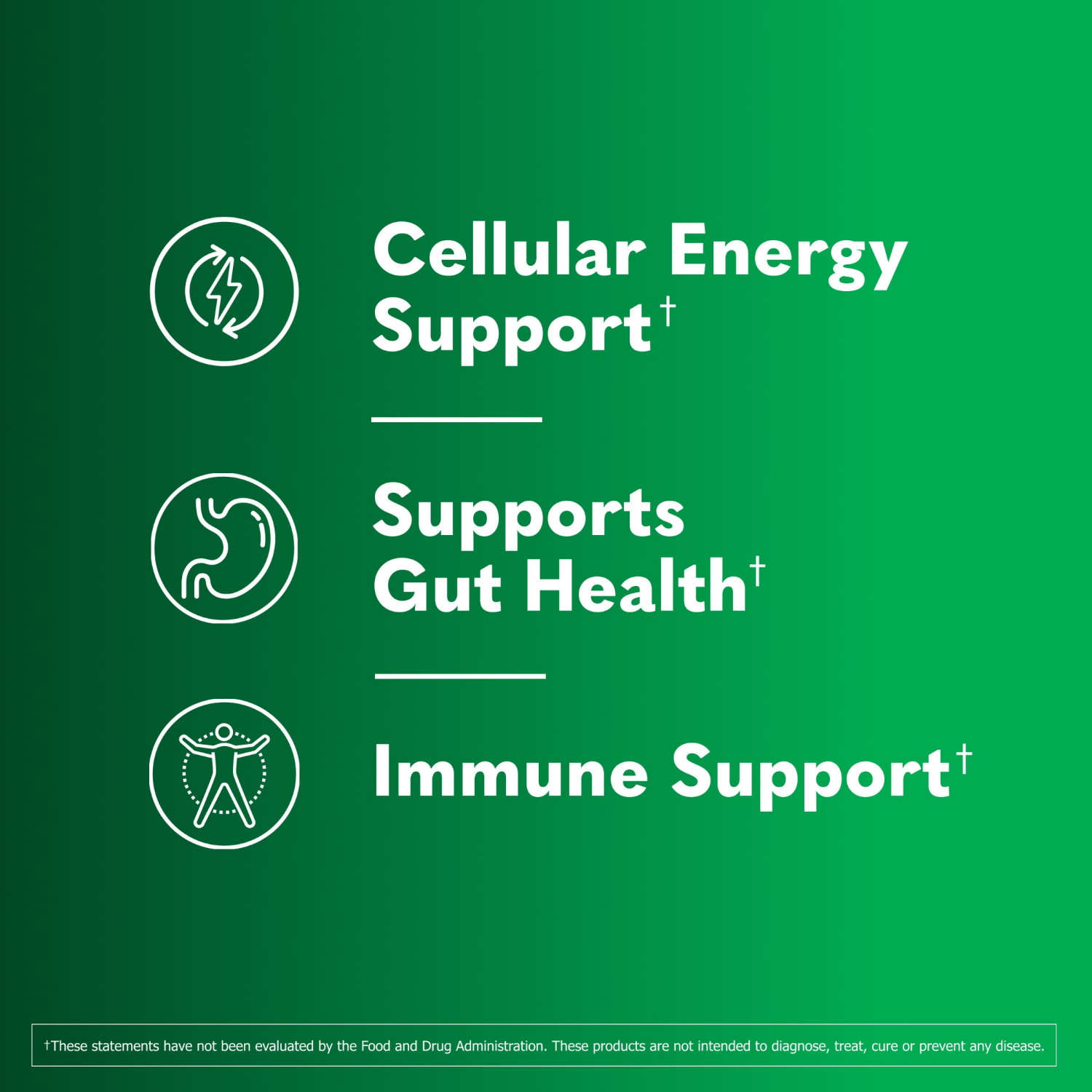 slide 4 of 6, Garden of Life Organic Greens Superfoods and Probiotic Powder - Apple Berry - 6.34oz/20 Servings, 6.34 oz, 20 servings