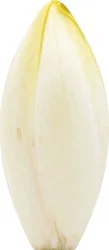 Belgian Endive