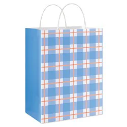 American Greetings Blue Plaid Medium Easter Gift Bag