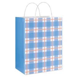 American Greetings Blue Plaid Medium Easter Gift Bag