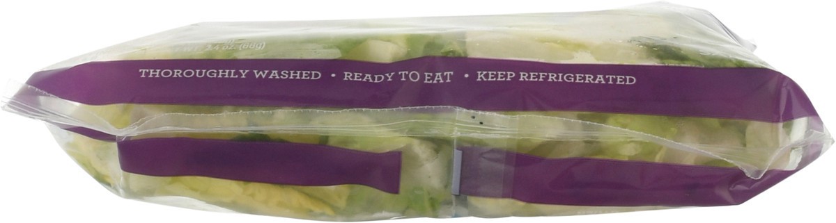 slide 3 of 14, Fresh Express Caesar Salad Kit 1 ea, 1 ct