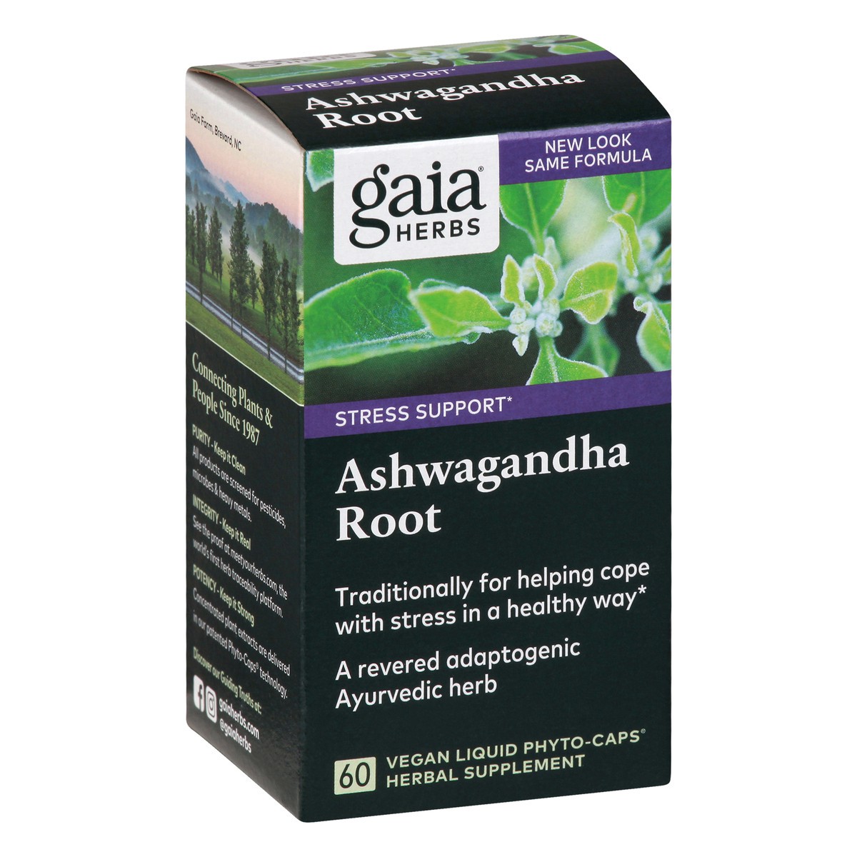 slide 6 of 13, Gaia Herbs Ashwagandha Root Herbal Supplement, 60 ct