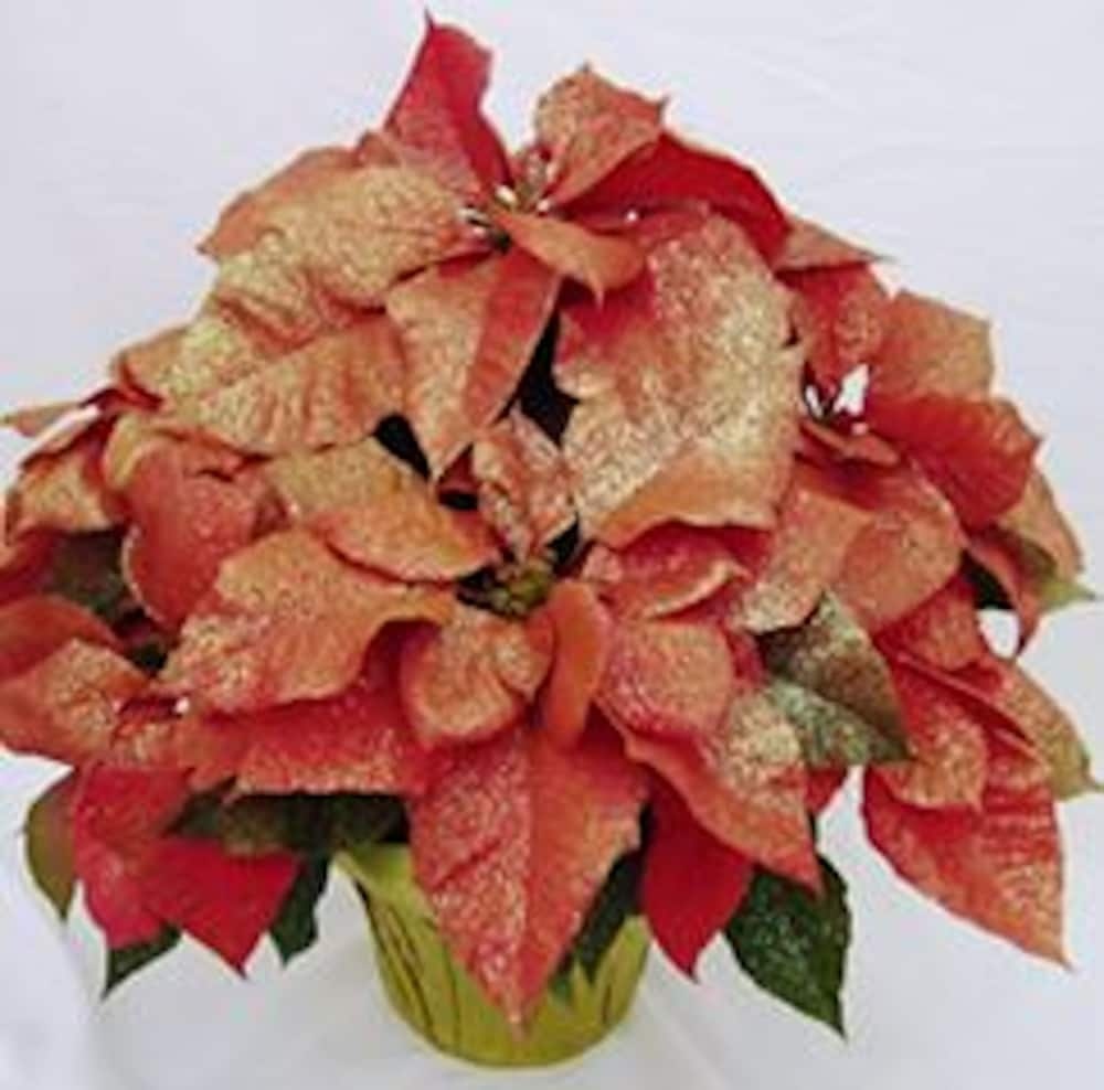 slide 1 of 1, Bling-Settia Poinsettia With Holiday Pot Cover, 6.5 in