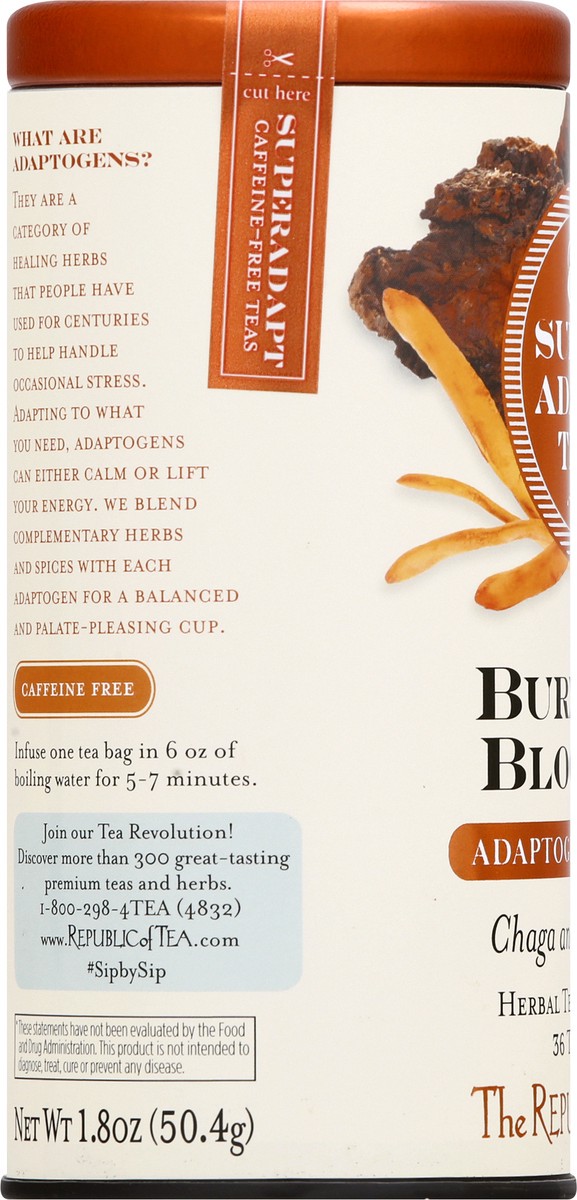 slide 6 of 9, The Republic of Tea Bags Burnout Blocker Super Adapt Tea - 36 ct, 36 ct