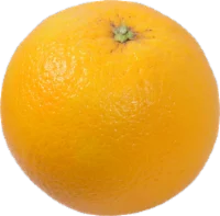 Organic Navel Oranges - Red