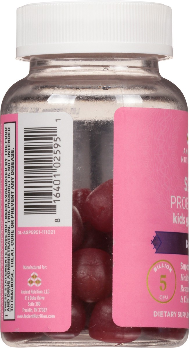 slide 6 of 9, Ancient Nutrition Sbo Probiotic Berry Flavor Kids Gummies, 30 ct