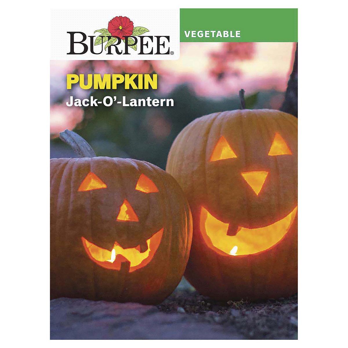 slide 1 of 5, Burpee Jack O' Lantern Pumpkin Seeds, 4.5 gram