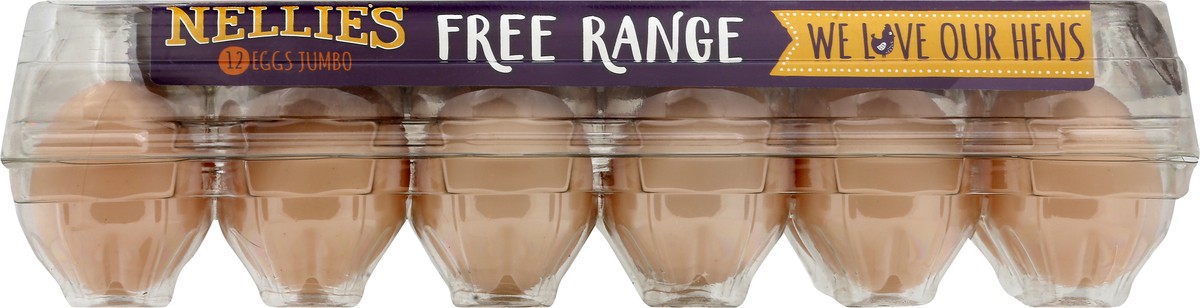 slide 1 of 11, Nellie's Grade A Jumbo Brown Free Range Eggs - 12 ct, 12 ct