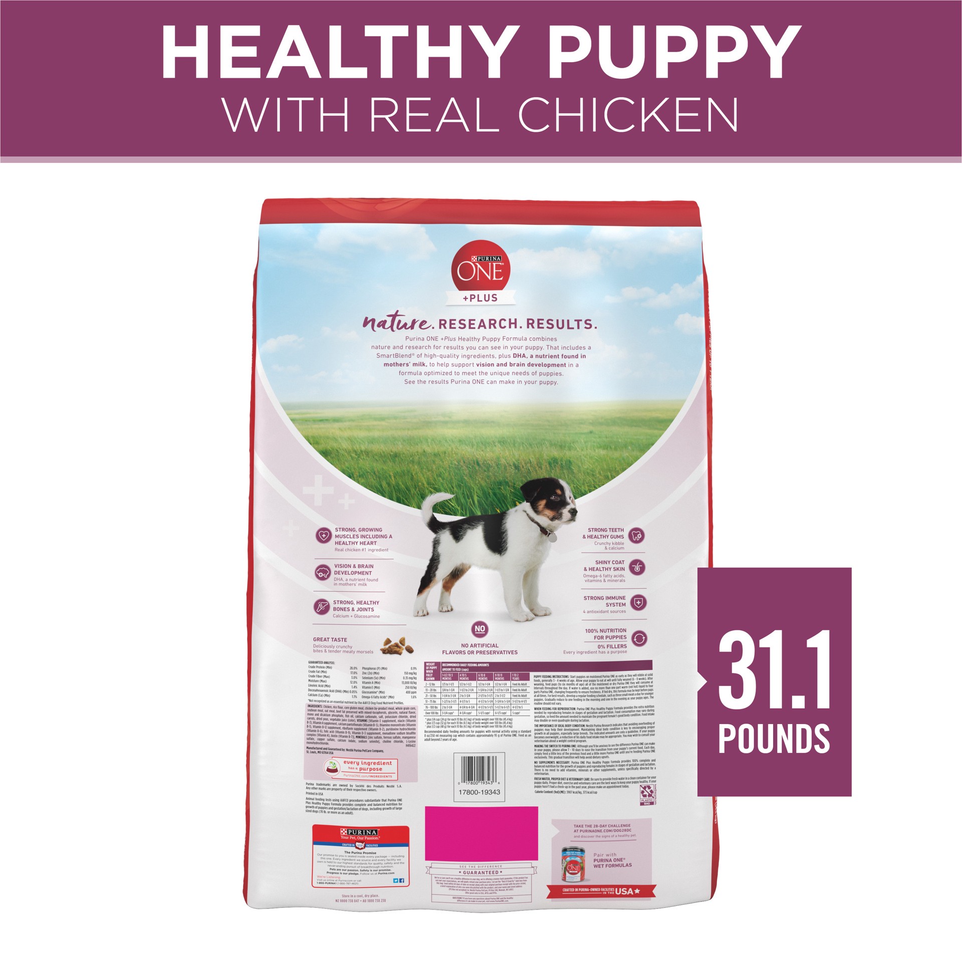 slide 7 of 8, Purina ONE Plus Healthy Puppy Formula Food for Puppies 31.1 lb, 31.1 lb