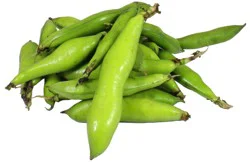 Produce Fava/Broad Beans