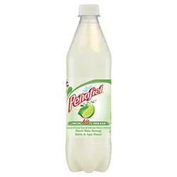 Peñafiel Limónada Mineral Spring Water, 20.3 fl oz Bottle
