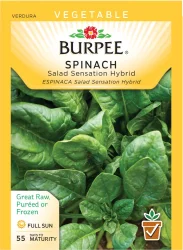 Burpee Salad Sensation Hybrid Spinach Seeds