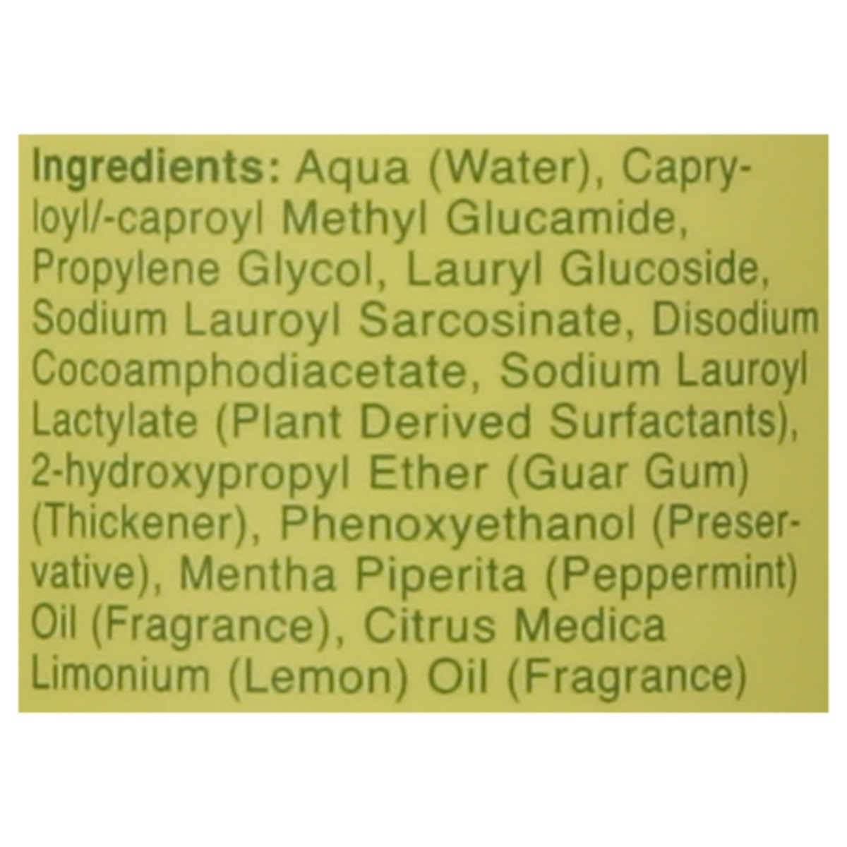 slide 8 of 12, Rebel Green Sulfate Free Super Deluxe Peppermint & Lemon Dish Soap 16 fl oz, 16 fl oz