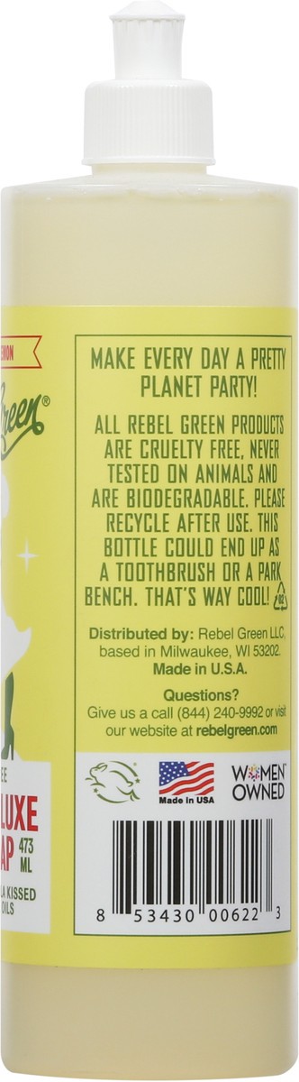 slide 6 of 12, Rebel Green Sulfate Free Super Deluxe Peppermint & Lemon Dish Soap 16 fl oz, 16 fl oz