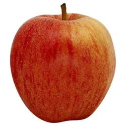 Apples Gala Large