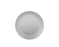 Everyday Living Essential Dinner Plate, Cool Gray