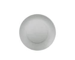 Everyday Living Essential Dinner Plate, Cool Gray