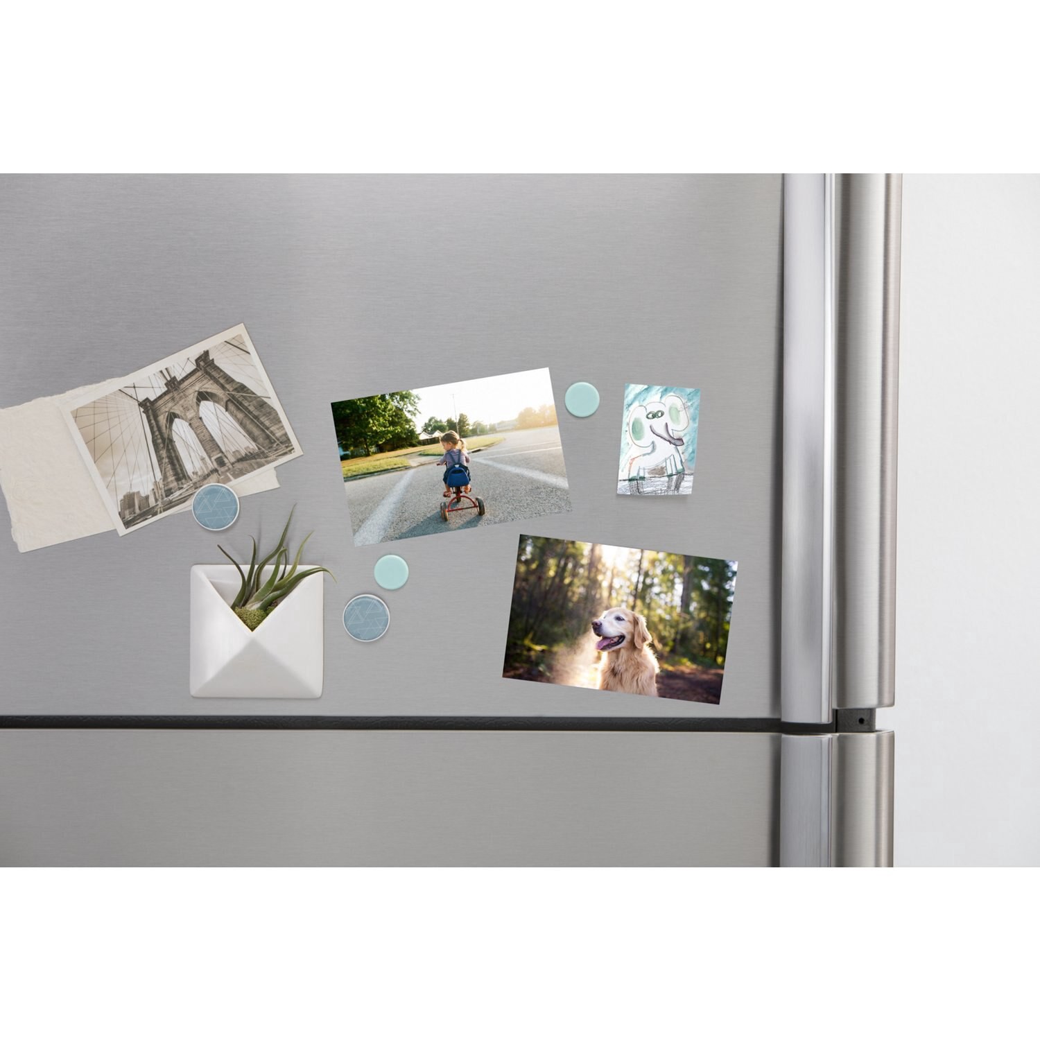 slide 1 of 1, FUJI 5X7 Magnet Ol, 1 ct