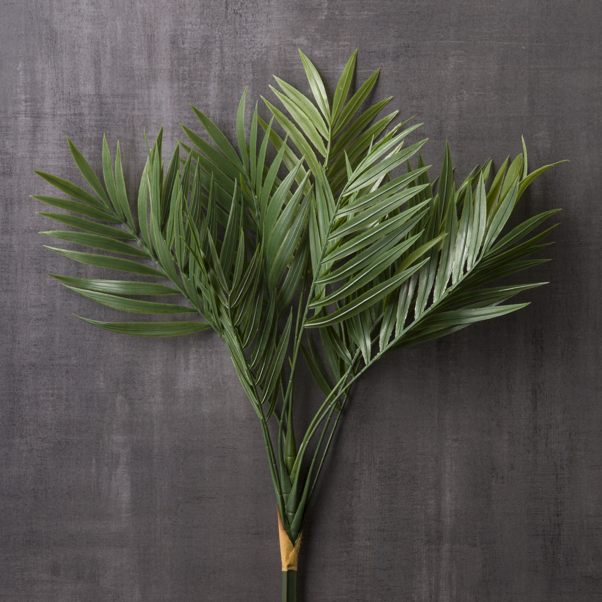 slide 2 of 3, Tropical Palm Stem By Ashland, 30 in