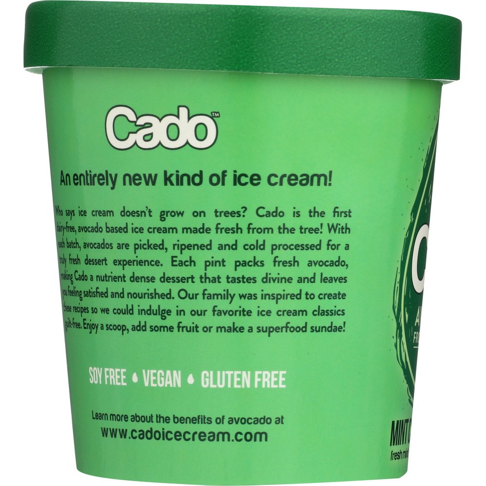 slide 2 of 5, Cado Dairy-Free Mint Chocolate Chip Avocado Frozen Dessert 1 pt, 1 ct