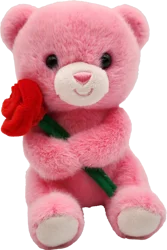 Holiday Home Bear with Rose Plush - Hot Pink