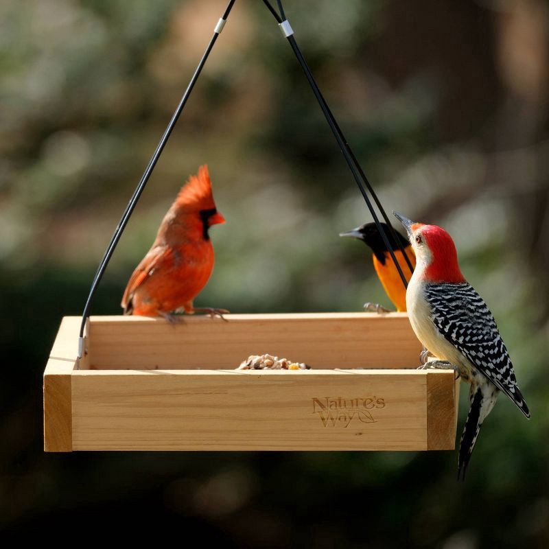 slide 4 of 8, Nature's Way Bird Products Nature's Way Cedar Tray Bird Feeder: Weather-Resistant Wood, No Assembly, 12x12 Hanging Design, 1 ct