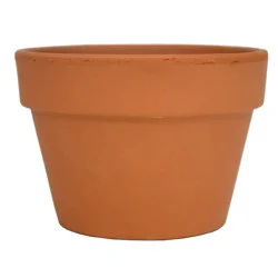 The Joy Of Gardening Fern Pot - Red