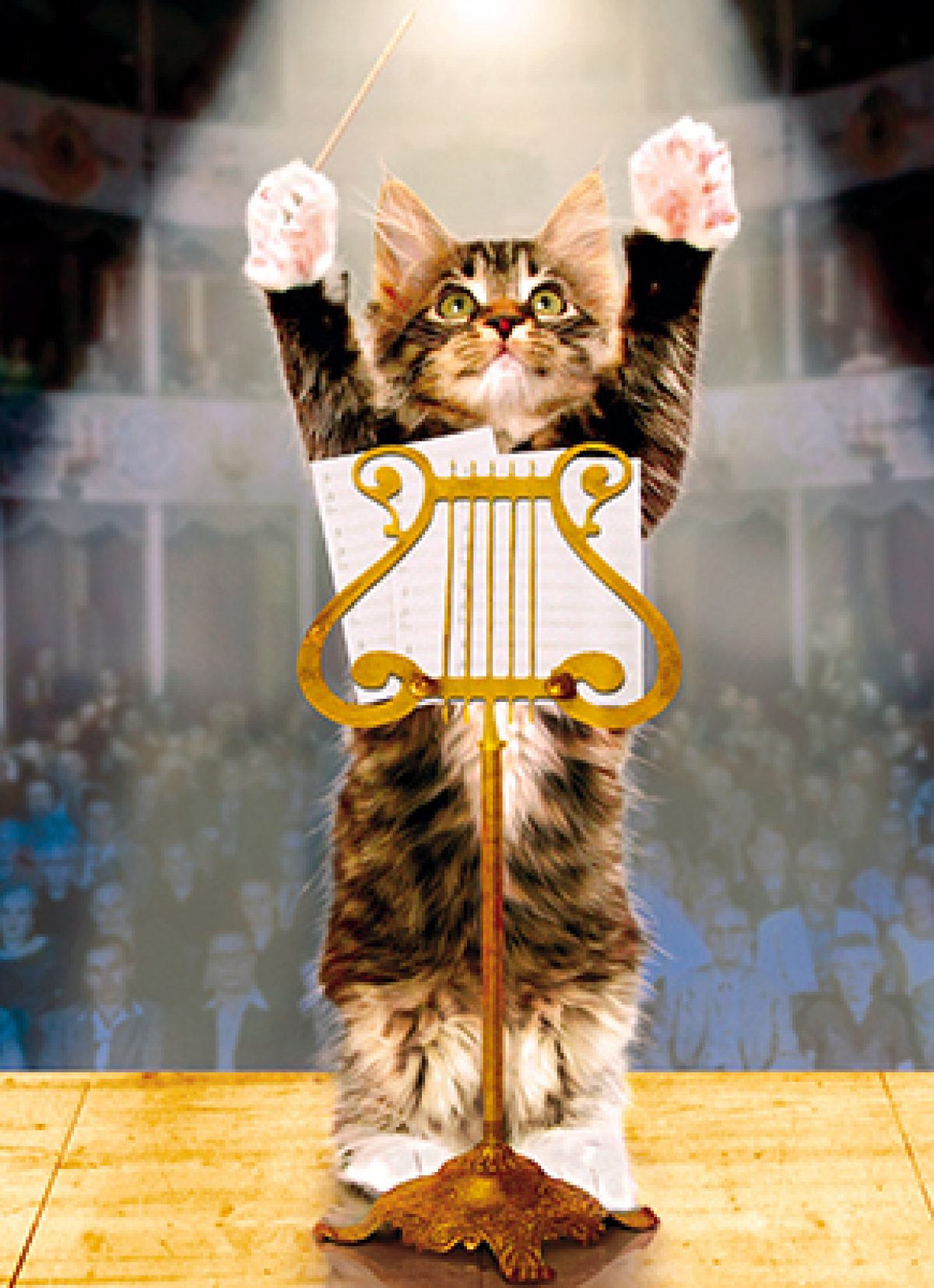 slide 1 of 1, Avanti Card Congrats Kitty Konductor, 1 ct