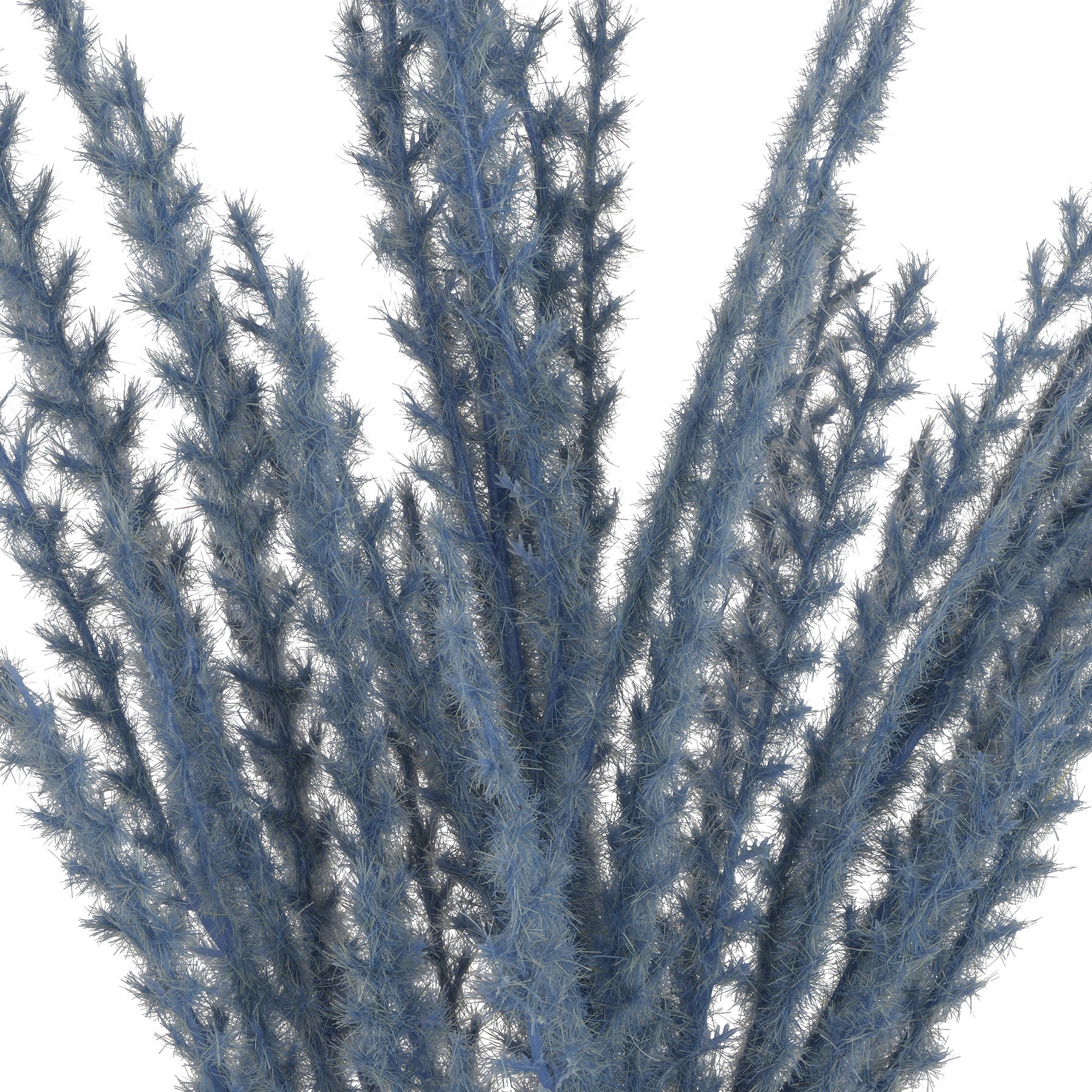 slide 2 of 2, 31" Light Blue Pampas Grass Stem By Ashland, 31 in