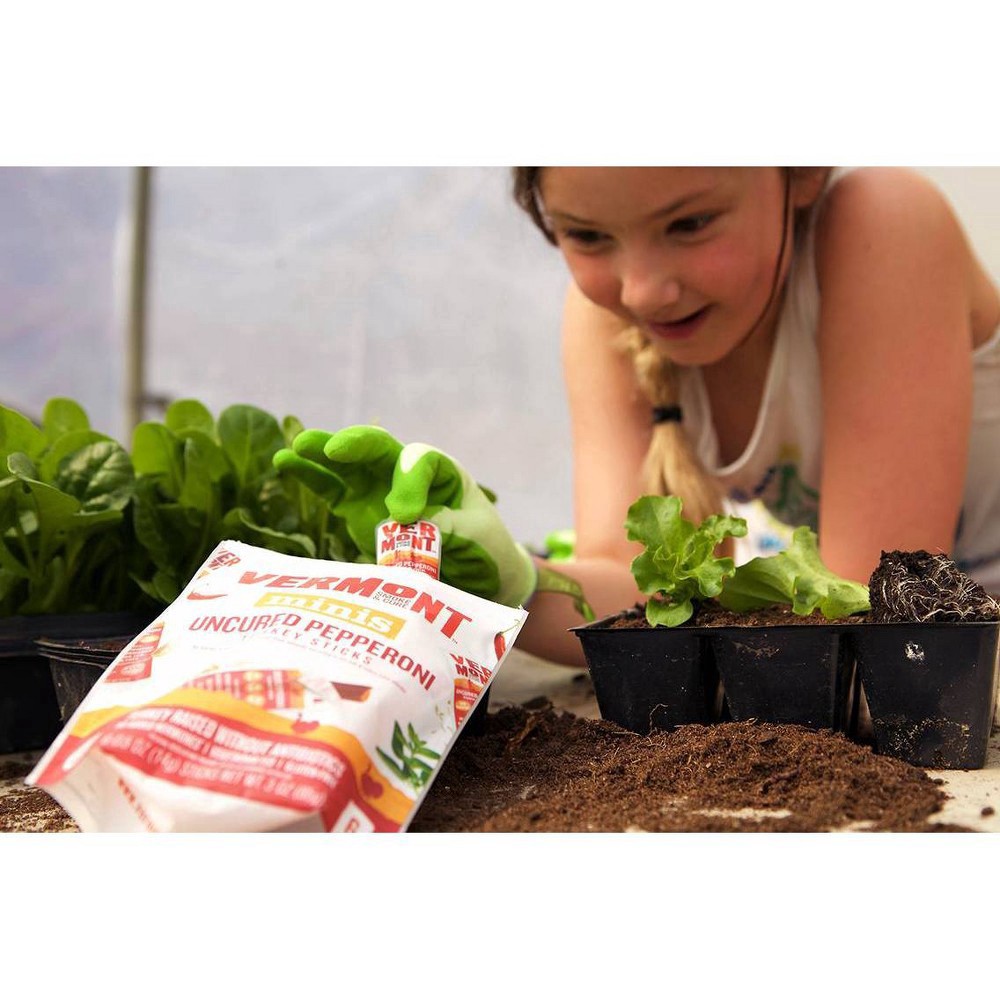 slide 6 of 9, Vermont Smoke & Cure Uncured Original Turkey Pepperoni Sticks Mini Size 6 ea, 6 ct