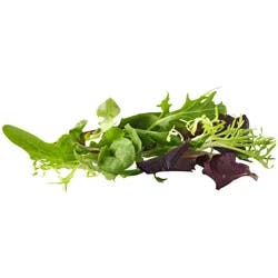 Sun Harvest Organic Spring Mix