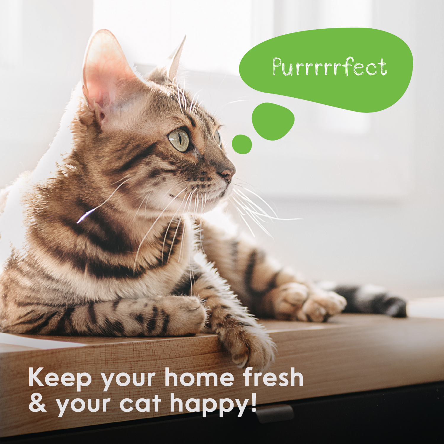 slide 6 of 8, Litter Genie Multi-Layer Film Refill, 1 ct