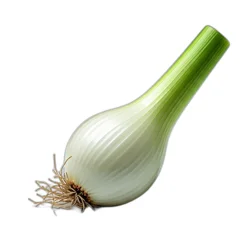 Shallot