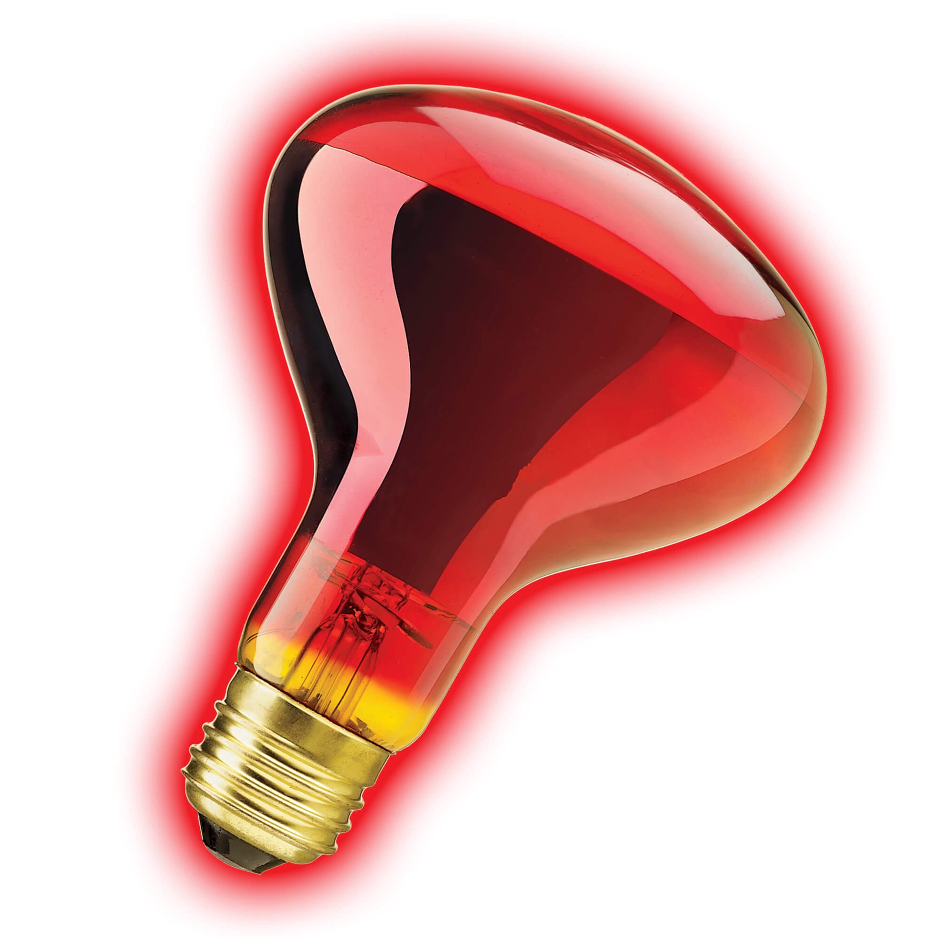 slide 5 of 6, Zilla Incandescent Spot Bulbs Night Red 75 Watts, 1 ct