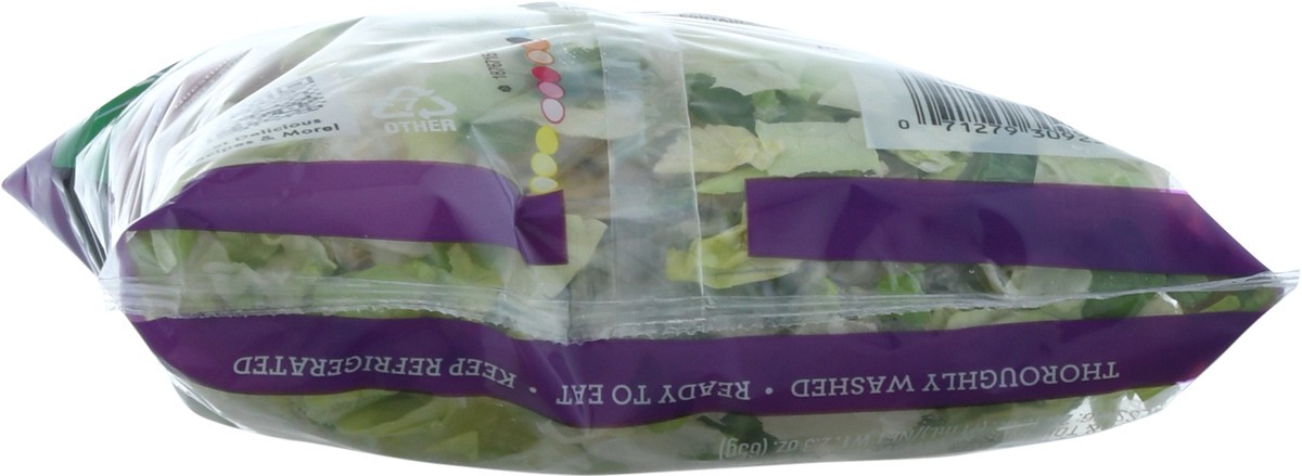 slide 3 of 9, Fresh Express Twisted Asian Caesar Chopped Salad Kit, 1 ct