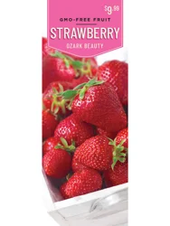 Strawberry Ozark Beauty 10 ct