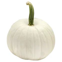 Texas Roots White Pumpkin