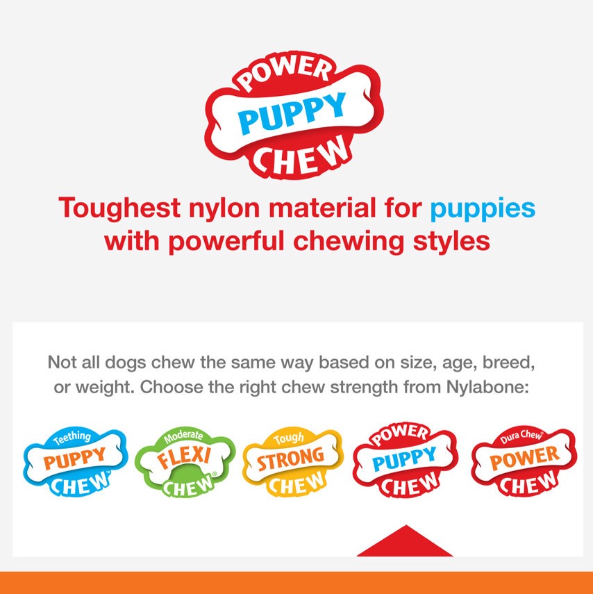 slide 4 of 10, Nylabone Tough Puppy Chew Bones Twin Pack Beef, Vegetable, & Bacon Small/Regular - Up to 25 Ibs.(2 Count), 2 ct