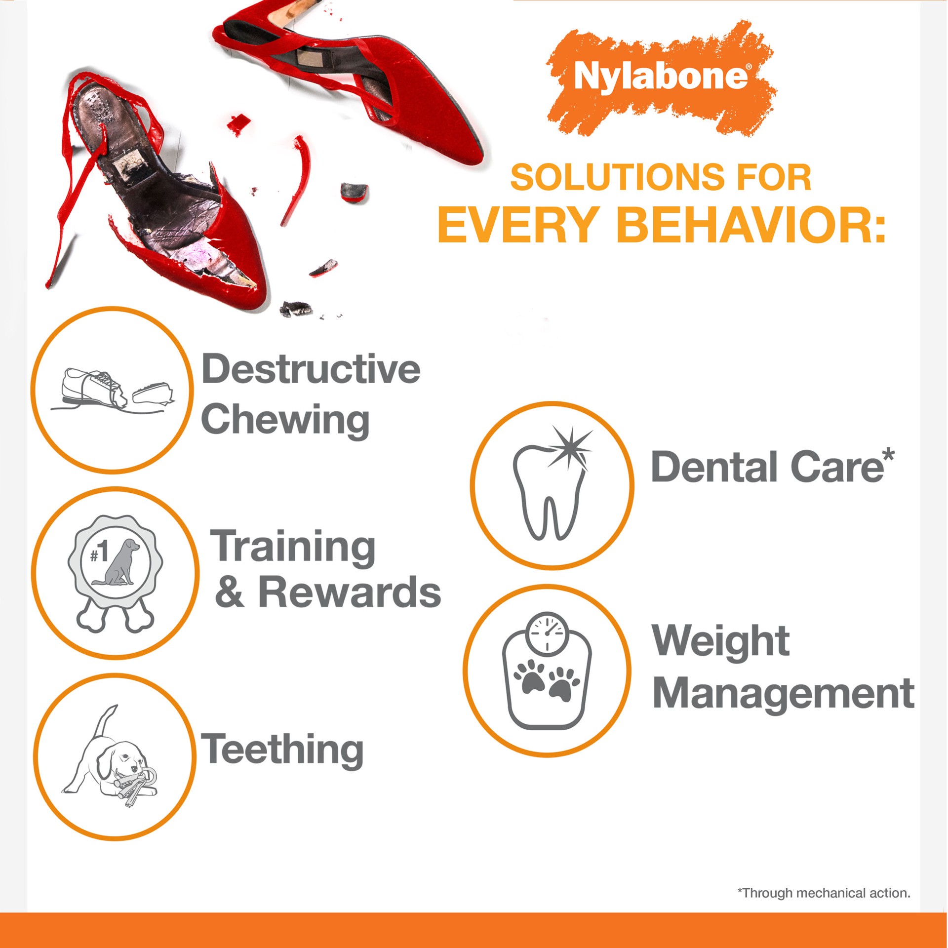 slide 10 of 10, Nylabone Tough Puppy Chew Bones Twin Pack Beef, Vegetable, & Bacon Small/Regular - Up to 25 Ibs.(2 Count), 2 ct