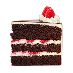 Chocolate Raspberry Towering Cake Slice