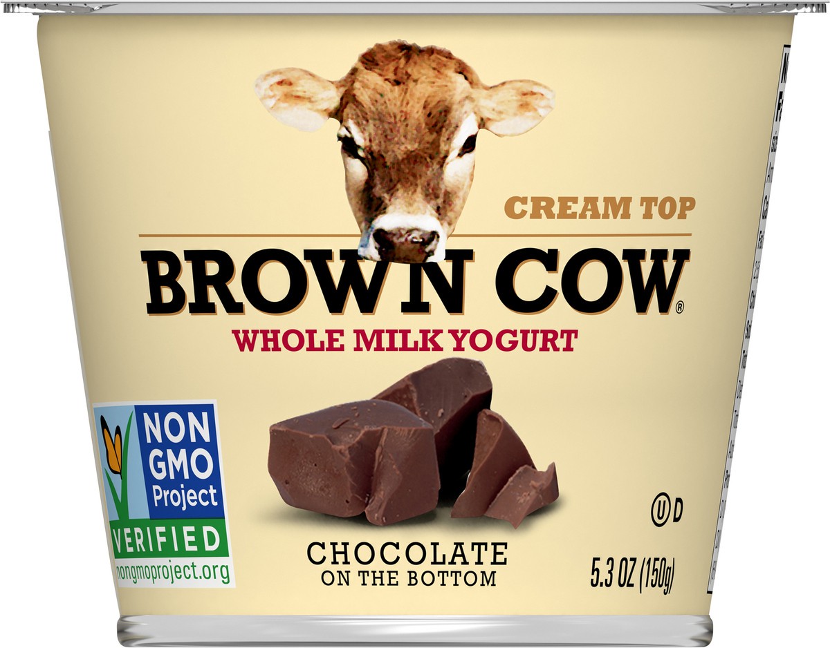 slide 1 of 2, Brown Cow Whole Milk Chocolate Yogurt, 5.3 fl oz