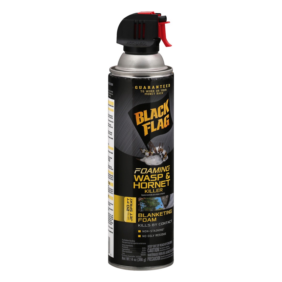 slide 2 of 9, Black Flag Foaming Hornet & Wasp Spray, 14 oz