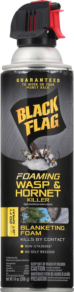 slide 4 of 9, Black Flag Foaming Hornet & Wasp Spray, 14 oz