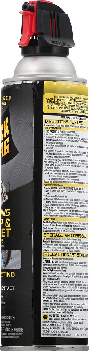 slide 6 of 9, Black Flag Foaming Hornet & Wasp Spray, 14 oz